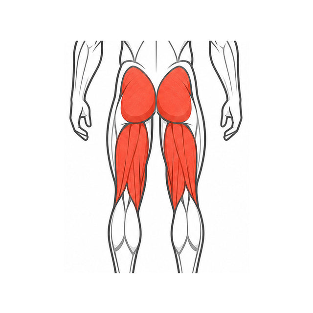 Glutes & Hamstrings