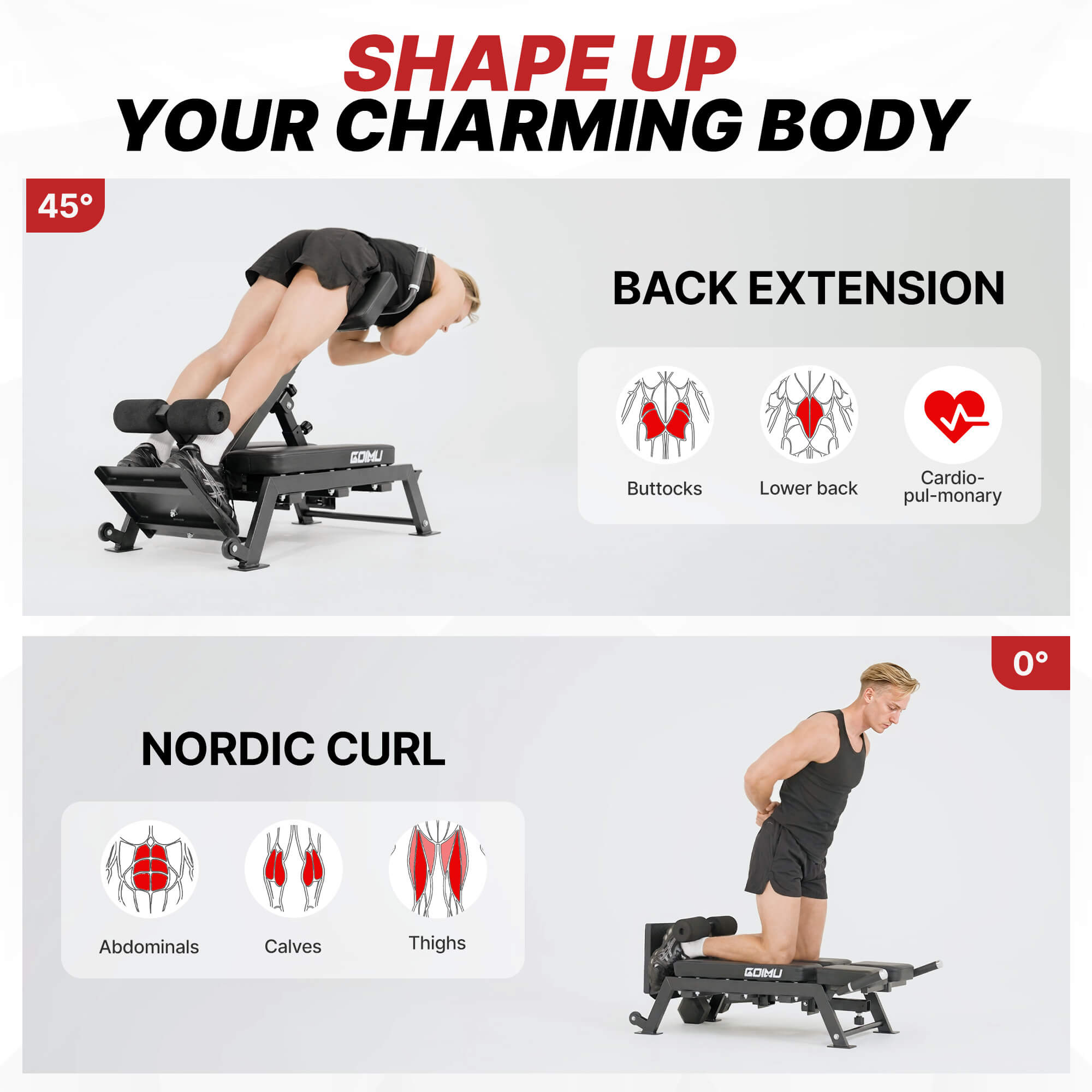 Fitness equipment with exercises for back extension and Nordic curl, targeting different muscle groups.