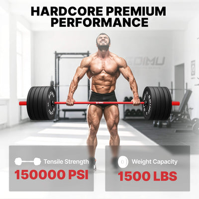 20KG Olympic Barbell PB01