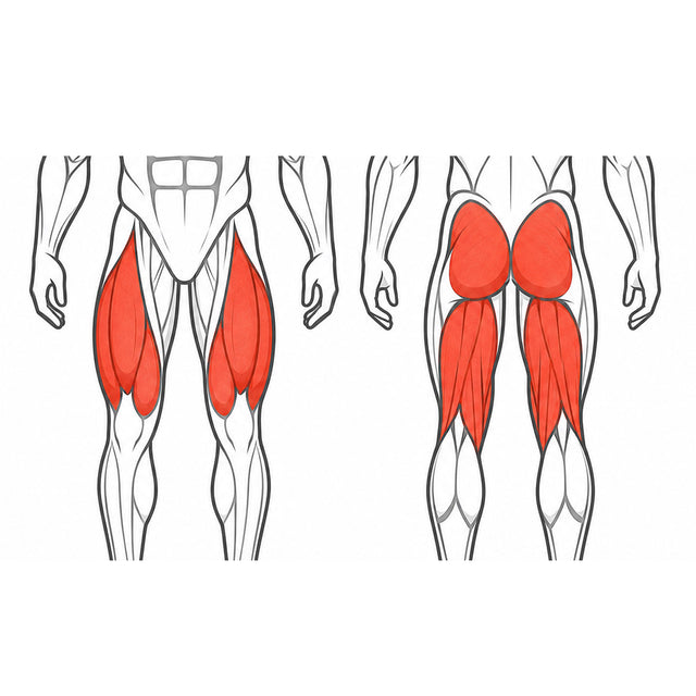 Quads & Glutes