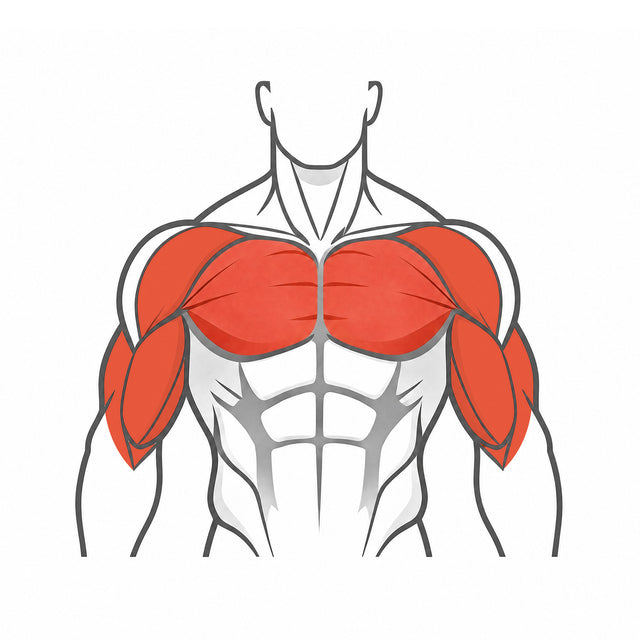 Chest & Triceps