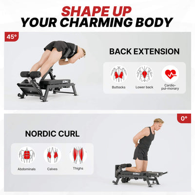 Fitness equipment with exercises for back extension and Nordic curl, targeting different muscle groups.