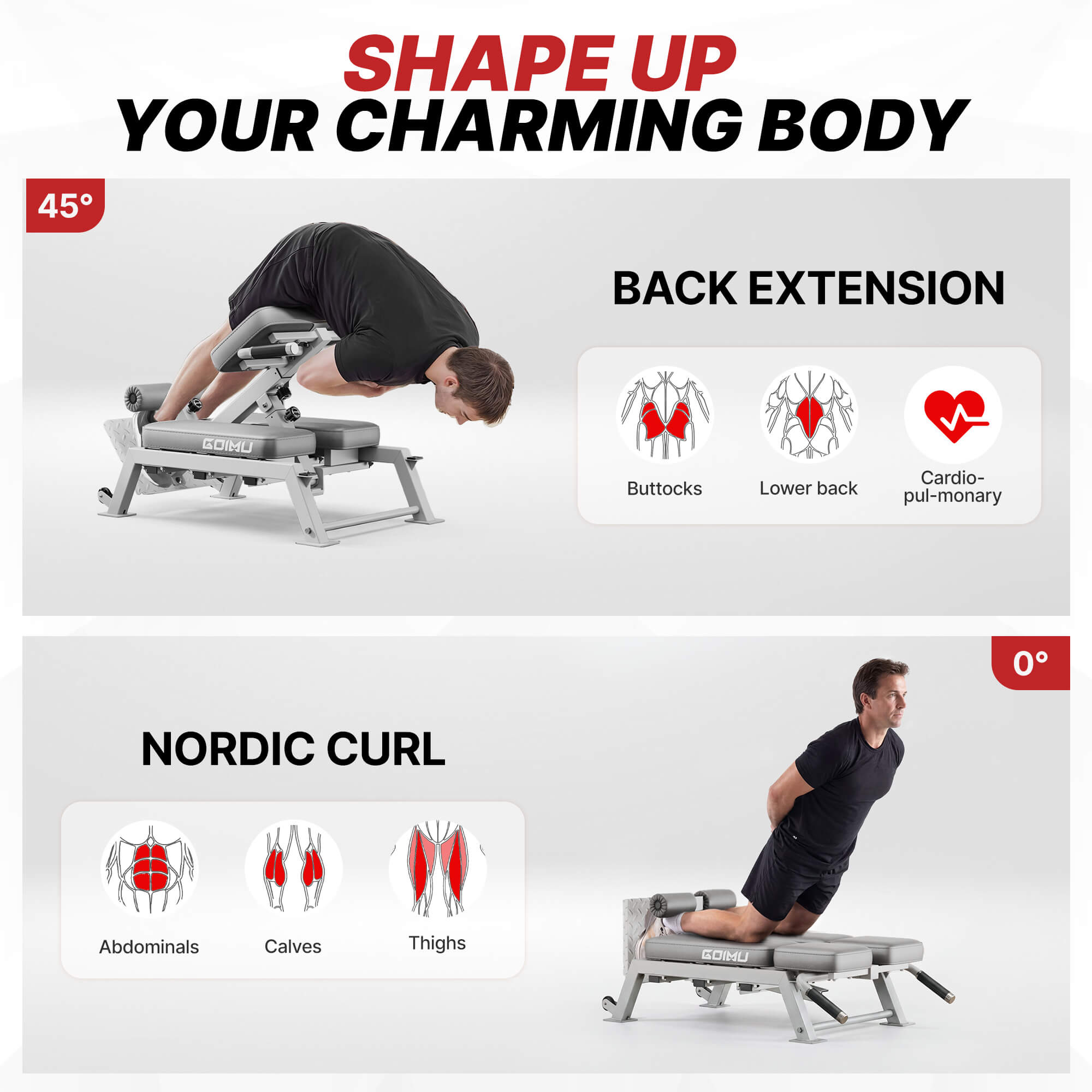 Fitness equipment with exercises and body part targets on a white background.