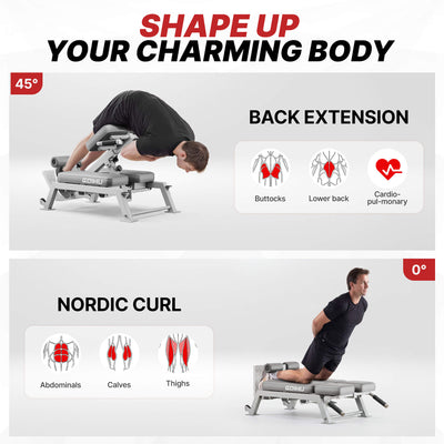 Fitness equipment with exercises and body part targets on a white background.
